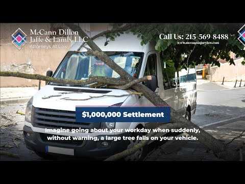 Million-Dollar Justice: Injured Worker Receives $1M Settlement After Tree Falls on Work Vehicle
