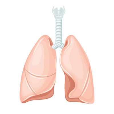 October is Healthy Lung Month