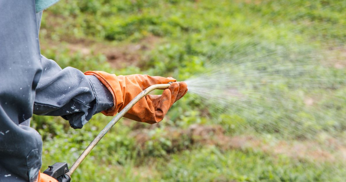 Is the Herbicide Paraquat Banned in the United States?